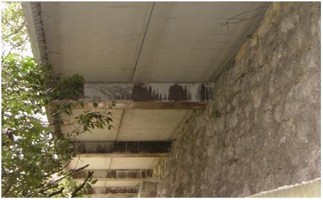 strada-provinciale_8488msoi.JPG